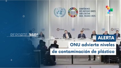 Reporte 360° 09-06 ONU alerta desplome de la biodiversidad marina