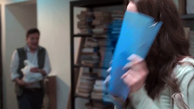 Gaivota volta atrás e aceita tentar visto para os EUA | Café com Aroma de Mulher