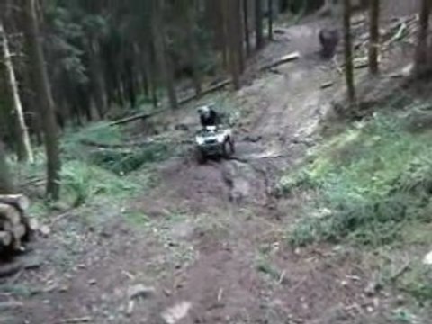 750 kvf Brute Force montée difficile