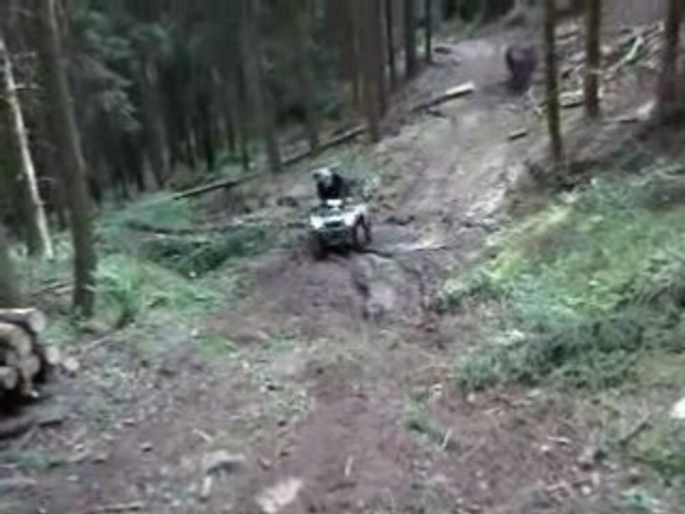 750 kvf Brute Force montée difficile