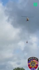 La cebra voladora: se escapa de su establo y la rescatan con un helicóptero
