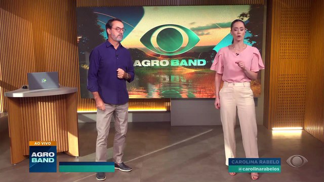 Governo confirma foco de gripe aviária em aves domésticas no MT