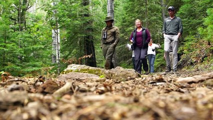 This Parrot’s Survival Depends on These Brave Conservationists