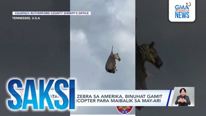 Nakatakas na zebra sa Amerika, binuhat gamit ang isang helicopter para maibalik sa may-ari | Saksi