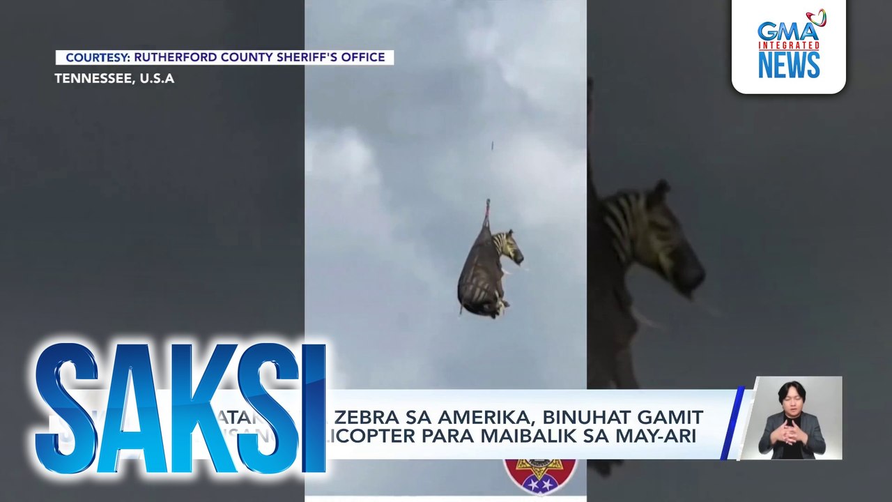 Nakatakas na zebra sa Amerika, binuhat gamit ang isang helicopter para maibalik sa may-ari | Saksi