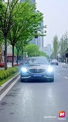 Werewolf Papa's Tender Secret Full