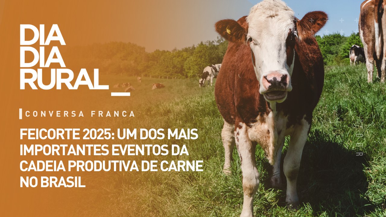 FEICORTE 2025: um dos mais importantes eventos da cadeia produtiva de carne no Brasil
