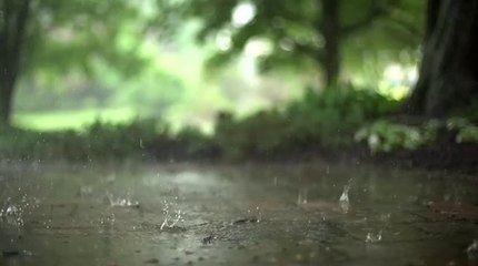 sleep better tonight with soothing rain sounds