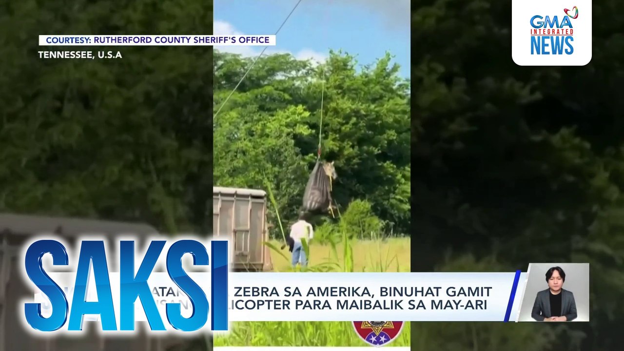 Saksi: (Part 3) Nakatakas na zebra; Bantay-LPA; Last taping day ng "Lolong: Pangil ng Maynila"