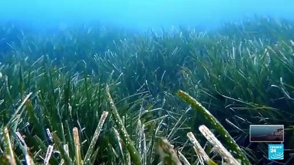Líderes se reúnen en Niza para debatir acuerdos sobre la protección de los océanos