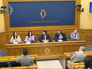 Roma - Avvocatura - Conferenza stampa di Devis Dori (09.06.25)