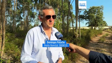 As notícias do dia | 12 junho 2025 - Manhã