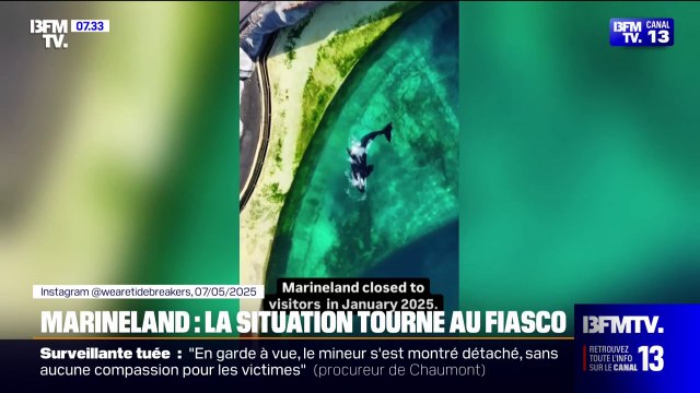 Prenez vos responsabilités : le Marineland d'Antibes demande au gouvernement de trouver une solution pour sauver ses orques
