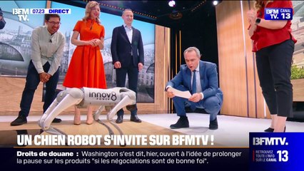 Un chien robot s'invite sur le plateau de Première édition à l'occasion du salon VivaTech