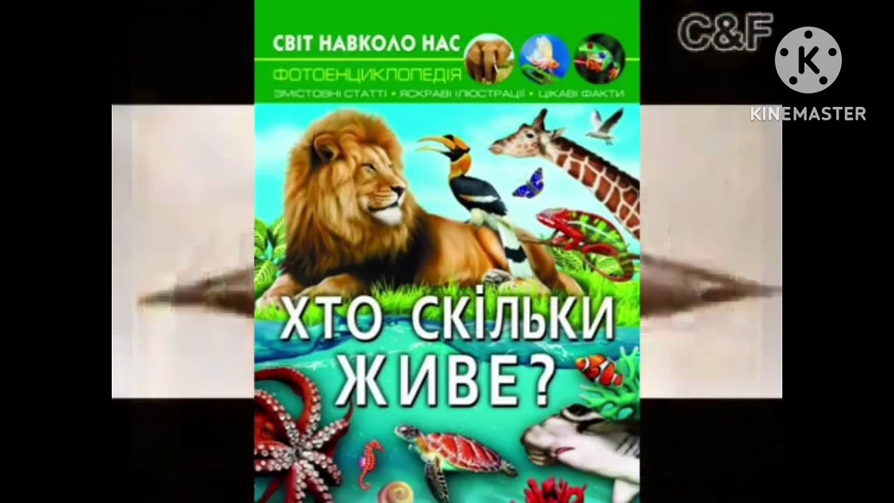 The Haunebu Nazi ufo history low pitch