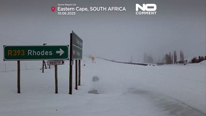 Десятки погибших в результате наводнений в Восточной Капской провинции ЮАР