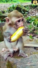 काम क्यों करते हो? || आचार्य प्रशांत