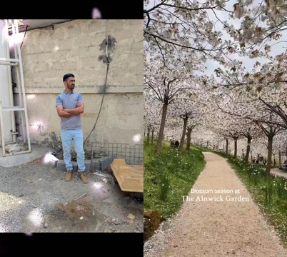 #NatureLovers #EarthBeaut #WildlifeWonder#ScenicViews #GreenEarth#OceanVibes#MountainLove#SunsetChasers#ForestBathing #NatureEscape