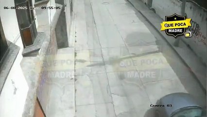 LANZAN A GATITO DESDE UN CARRO Y LUEGO SE VAN