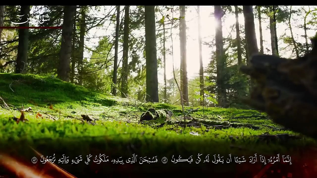 سور لجلب الرزق ( يس - الرحمن - الواقعة - الملك) القارئ هيثم الدخين Haitham Aldokhin