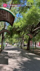 Lugares turisticos Centro Historico de Durango
