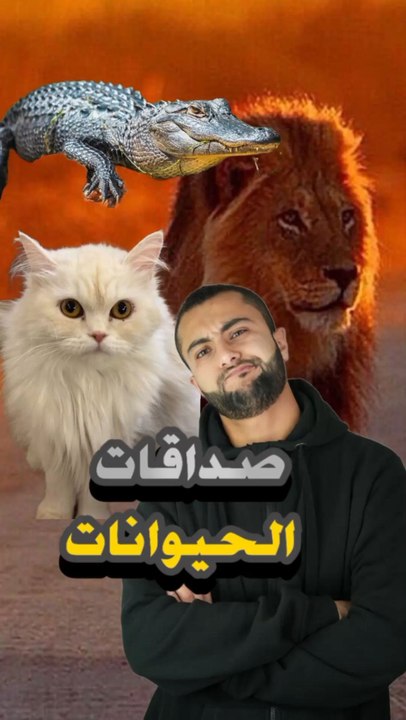 أغرب 3 صداقات بين الحيوانات.. مستحيل تتوقعها! 🐶🐦😲https://psce.pw/7py7cj#النواة #صداقة #قطة #فأر #تمساح #أسد #كلب#Alnawa #dubai🇦🇪 #dubailife #trending #travel #nature #wildlife