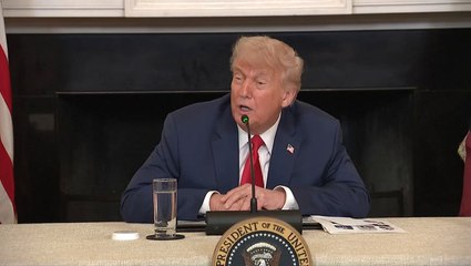 Donald Trump ignores Britain as he claims US won Second World War