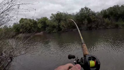 Pescando y cocinado carne asada en un arroyo | Mucho pique de bagres sapos y tarariras | Video de pesca