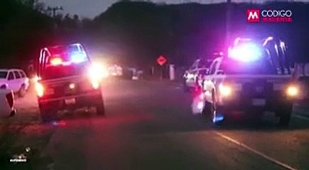 La gran diferencia entre el Cártel de Sinaloa y el Jalisco Nueva Generación