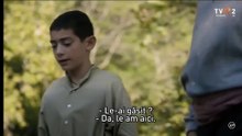 Sfântul Paisie Aghioritul - S01E06