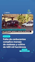 Falta de carburantes complica manejo de malezas y cultivo de 400 mil hectáreas