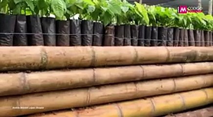 #ConTaconesEntreLegos | El Necio