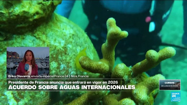 Informe desde Niza: acuerdo de biodiversidad en aguas internacionales empezaría en 2026