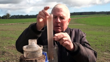 Rain in parts of South Australia bring short-term relief to some farmers during drought