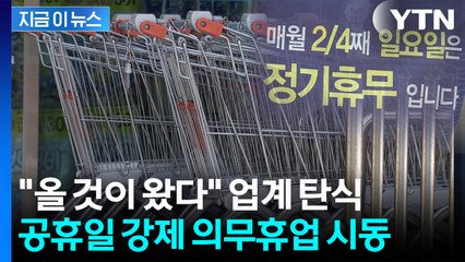 "적자 여부는 그들의 입장"...민주당, 대형마트 공휴일 의무휴업 재추진 [지금이뉴스] / YTN