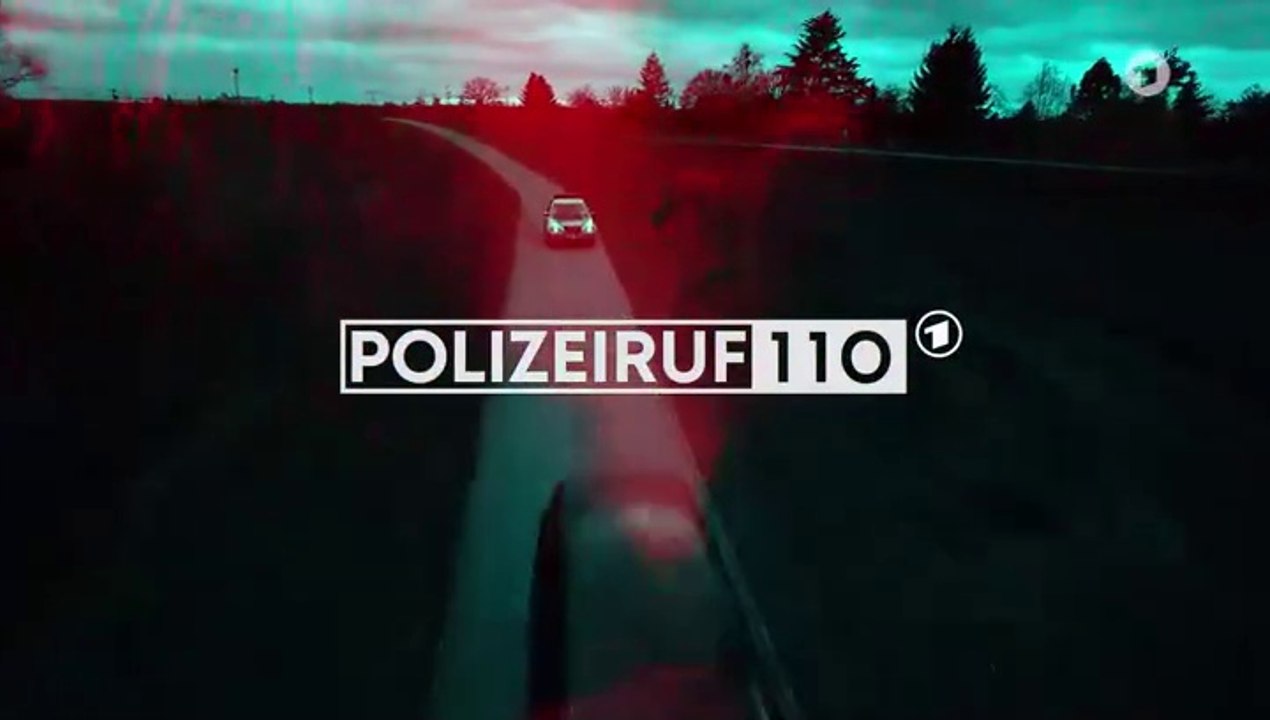 Polizeiruf 110 -410- Diebe