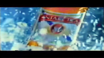 Cerveja Antártica 1994 (Copa do Mundo)