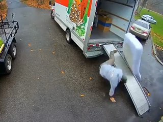 2025’s Wildest Security Camera Moments – Caught in 4K!