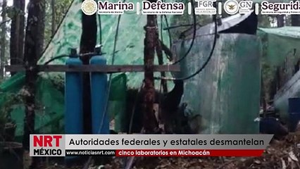 Autoridades federales y estatales desmantelan cinco laboratorios en Michoacán