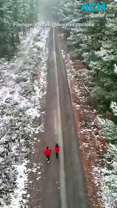 First snowfall blankets NSW towns as Aussies rejoice