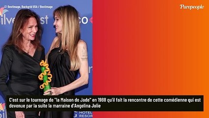 Vincent Perez séparé d'une célèbre actrice anglaise de 20 ans son aînée, une femme proche d'Angelina Jolie