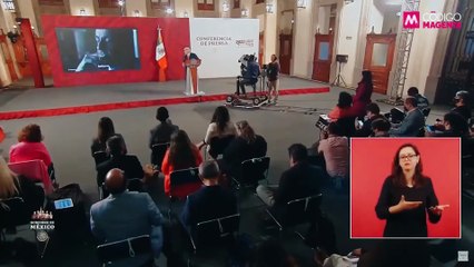 Círculo Magenta: El arquitecto del caso Cassez-Vallarta