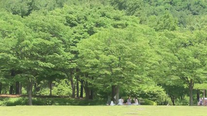 [날씨] 습도 높은 낮 더위...남부 30℃ 안팎, 한여름 날씨 / YTN