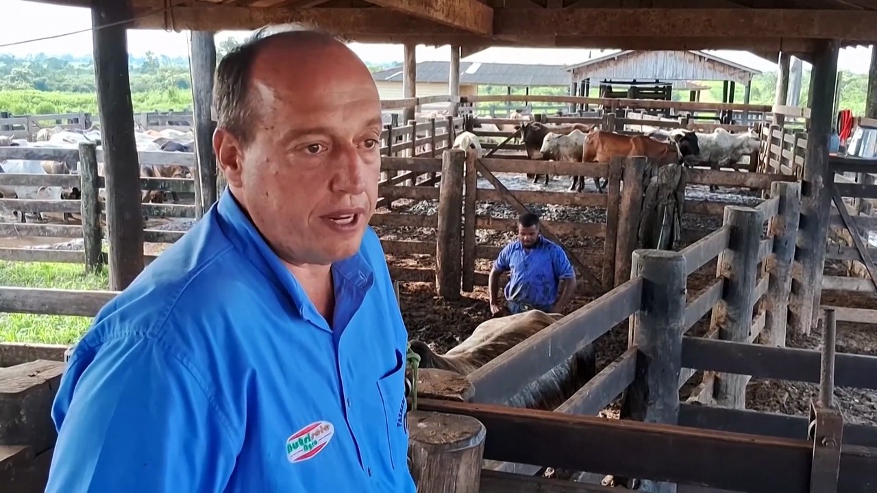 Brazil’s ranchers are embracing a program to save the Amazon