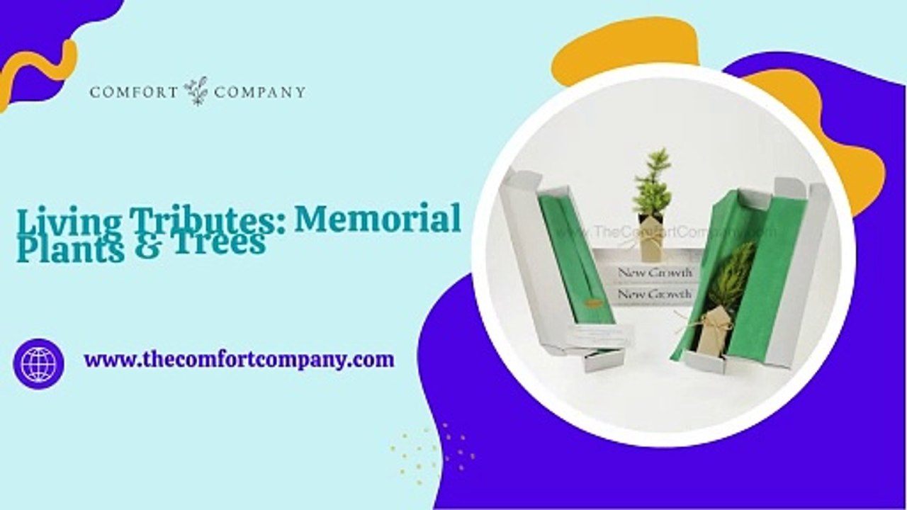 Honor Loved Ones with Memorial Plants & Trees – The Comfort Company