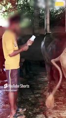 वो भी माँ है! || आचार्य प्रशांत