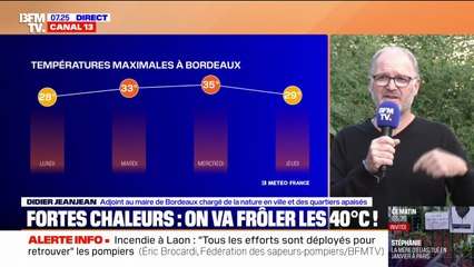 Fortes chaleurs: "Un îlot de chaleur, ça peut être entre 8°C et 10°C supplémentaires", explique l'adjoint au maire de Bordeaux chargé de la nature en ville