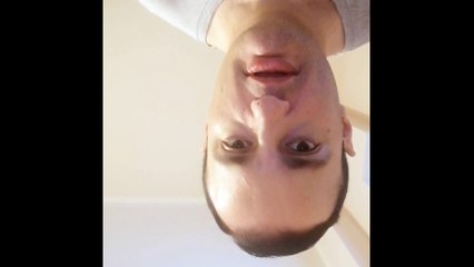 Il referendum, cosa ci ha insegnato?