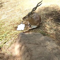 "Overthinking won't fix your problems" 😁😁😁