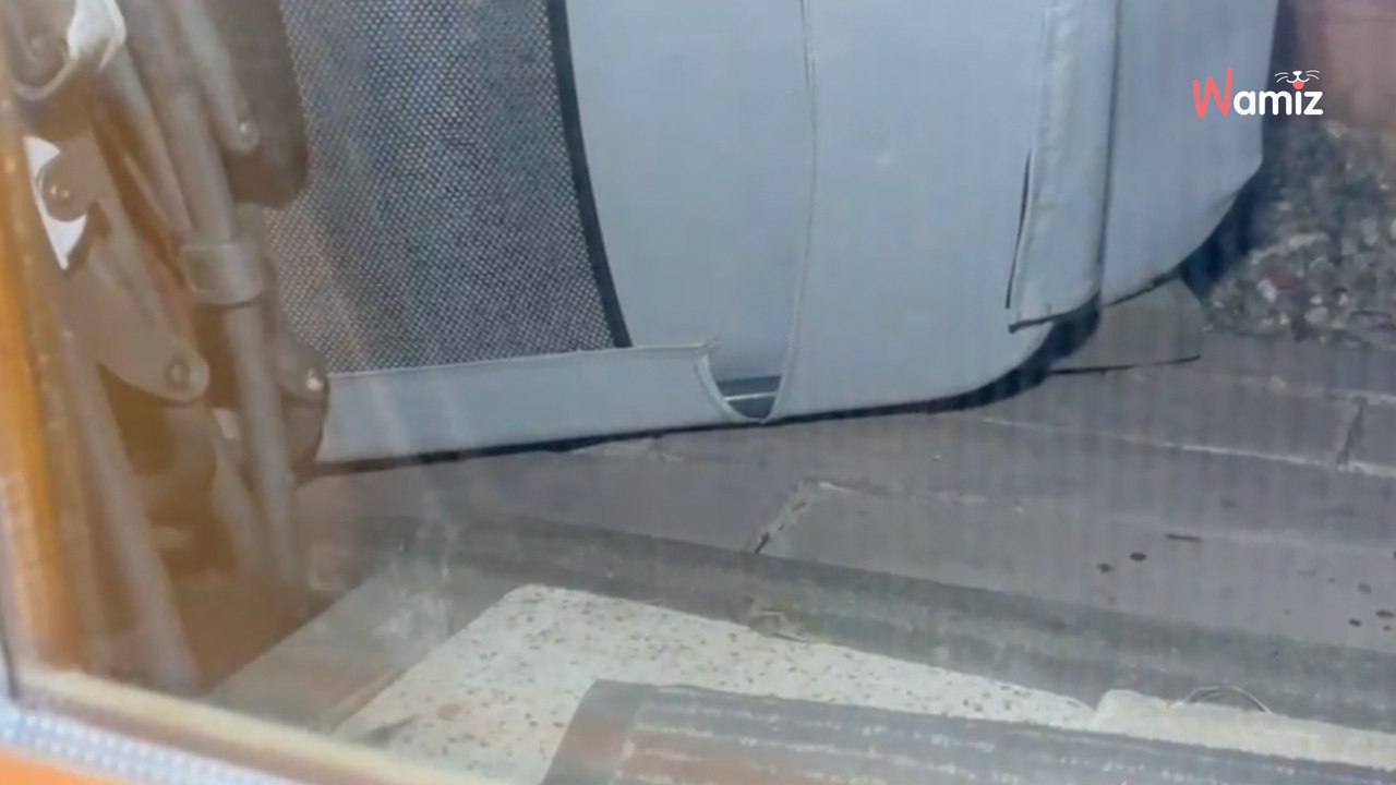 Pfingsten 22.39 Uhr: Wiederholungstäter taucht plötzlich vorm Kellerfenster auf!